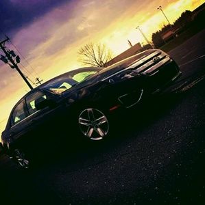 Meet your Posher, Steven